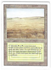 Savannah (#729)
